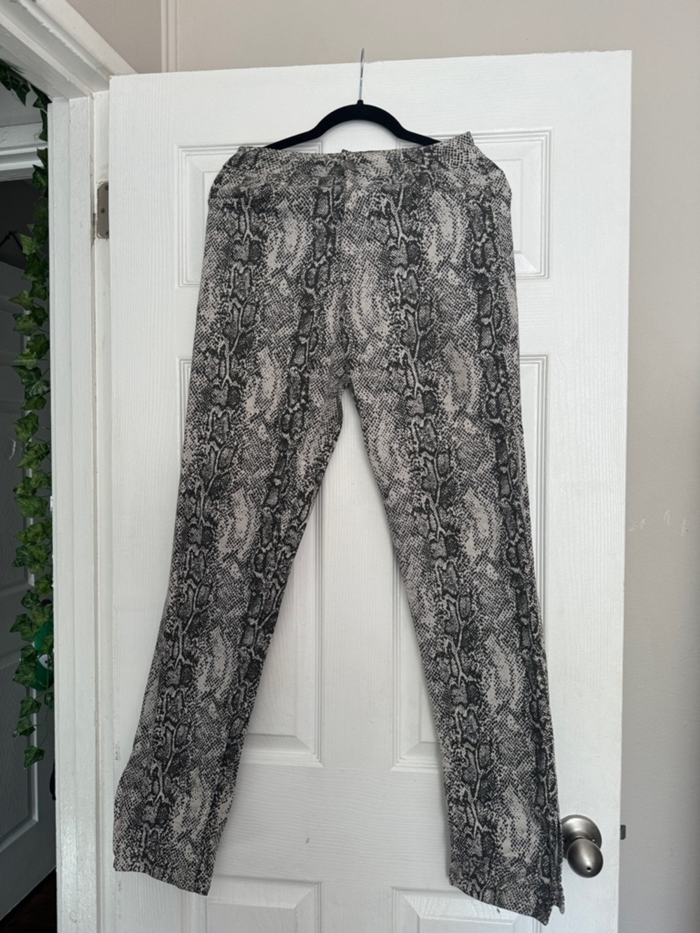 Nasty Gal Snake Print Pants - Black & Cream
